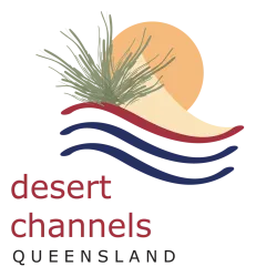 Desert Channels