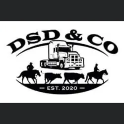 DSD & Co