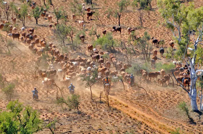 Ag Workforce Jobs: How to Land Seasonal and Long-Term Roles