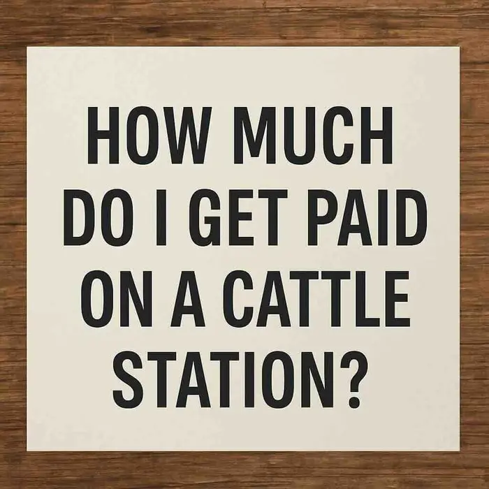 Station Hand Salary Range: How Much Do You Get Paid on a Cattle Station?