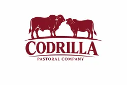 Codrilla Pastoral Company
