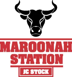 Maroonah Station