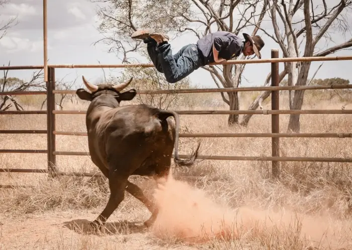 In the Yards with a Mickey Bull!
