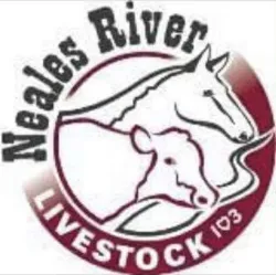 Neales River Livestock