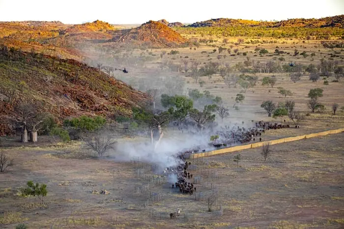 Cattle Station Jobs in Australia: Your Guide to Working in the Outback