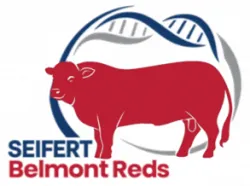 Seifert Belmont Reds