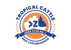 Tropical Cattle