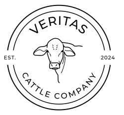 Veritas Cattle Company